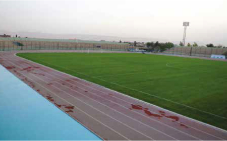 Athletic Projects