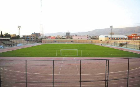 Athletic Projects